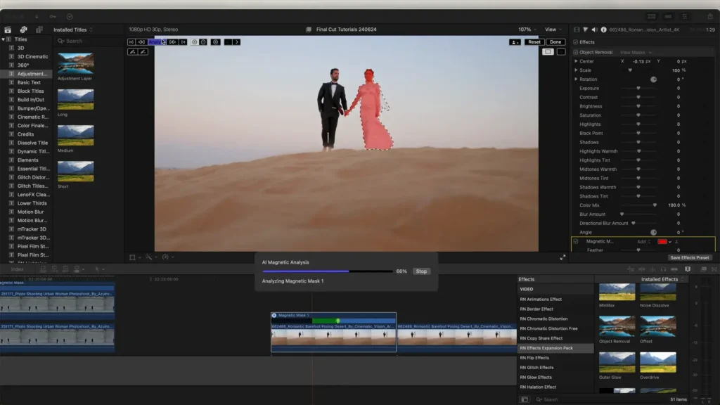 Applying the Object Removal Plugin to the video clip